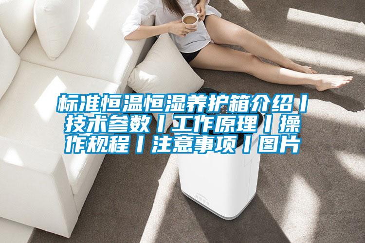 標準恒溫恒濕養護箱介紹丨技術參數丨工作原理丨操作規程丨注意事項丨圖片