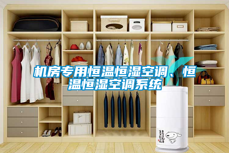機(jī)房專用恒溫恒濕空調(diào)、恒溫恒濕空調(diào)系統(tǒng)