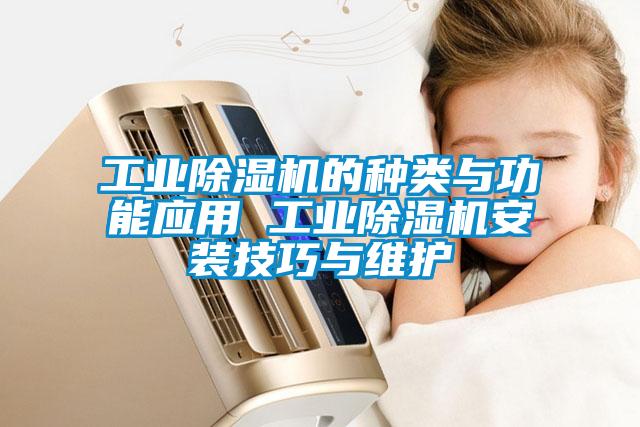 工業除濕機的種類與功能應用 工業除濕機安裝技巧與維護