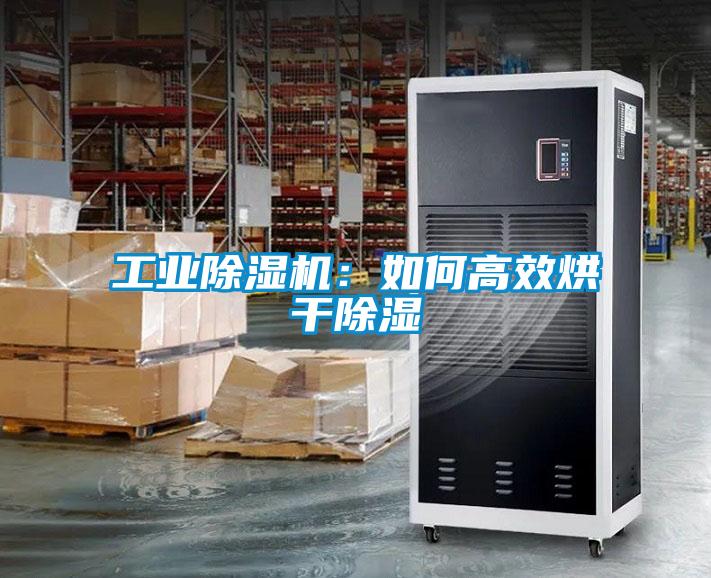 工業除濕機：如何高效烘干除濕