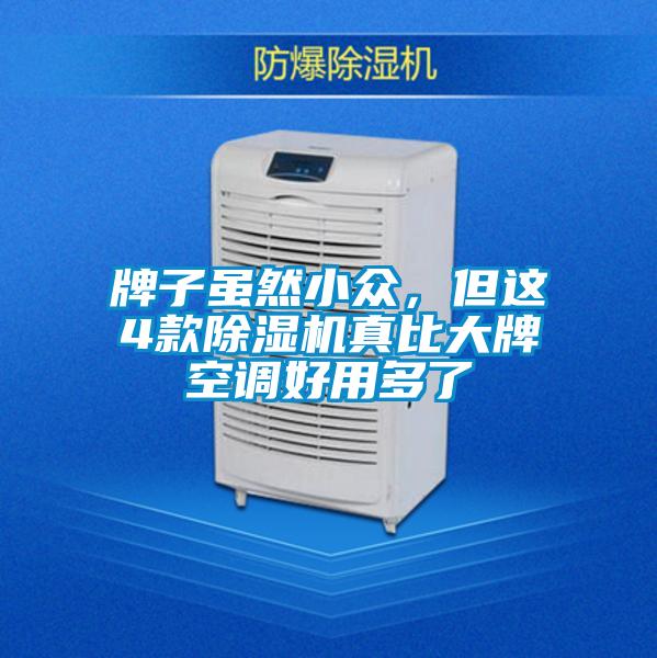 牌子雖然小眾，但這4款除濕機真比大牌空調好用多了