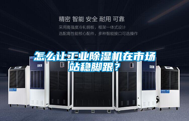 怎么讓工業除濕機在市場站穩腳跟？