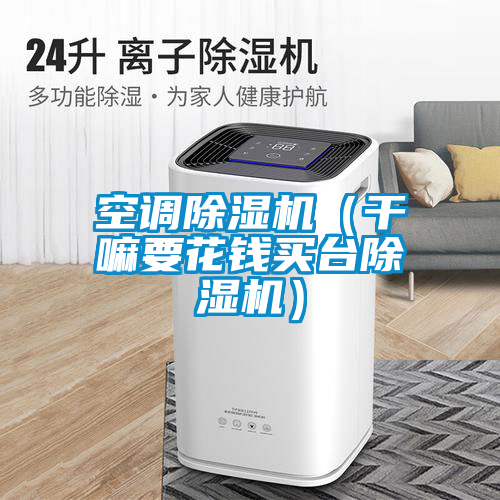 空調除濕機（干嘛要花錢買臺除濕機）