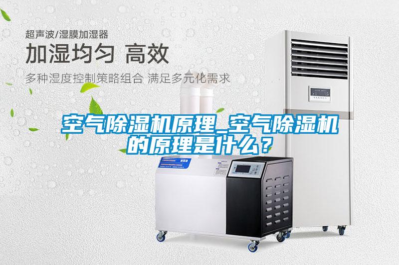空氣除濕機原理_空氣除濕機的原理是什么？