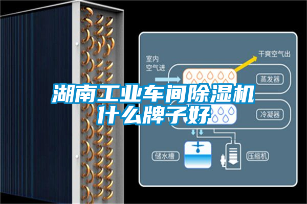 湖南工業車間除濕機什么牌子好