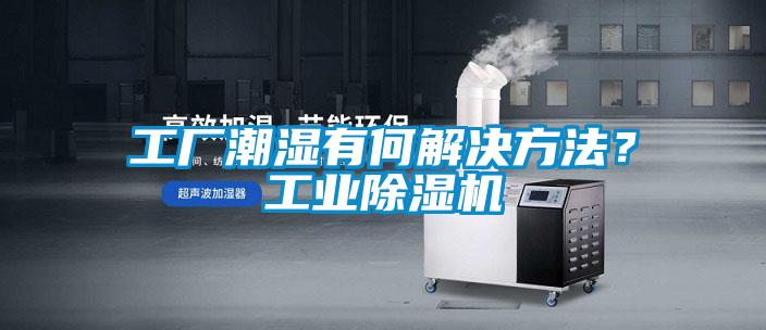 工廠潮濕有何解決方法？工業除濕機