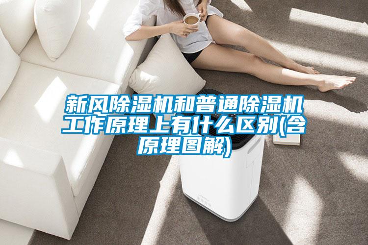 新風除濕機和普通除濕機工作原理上有什么區別(含原理圖解)