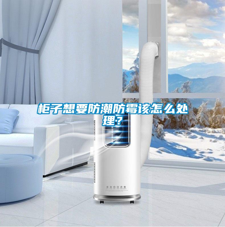柜子想要防潮防霉該怎么處理？