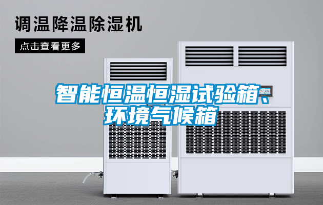 智能恒溫恒濕試驗箱、環境氣候箱