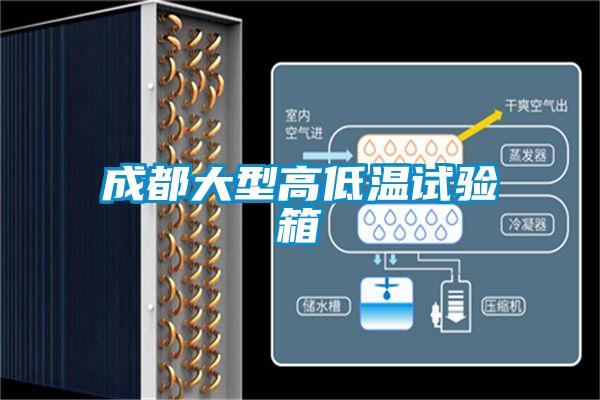成都大型高低溫試驗箱