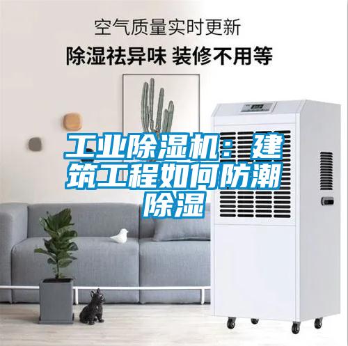 工業除濕機：建筑工程如何防潮除濕
