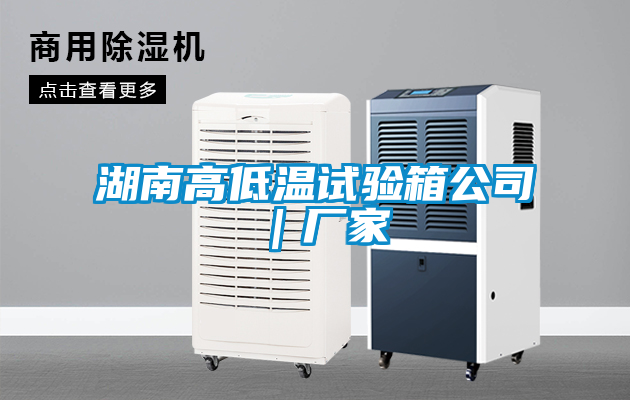 湖南高低溫試驗箱公司｜廠家