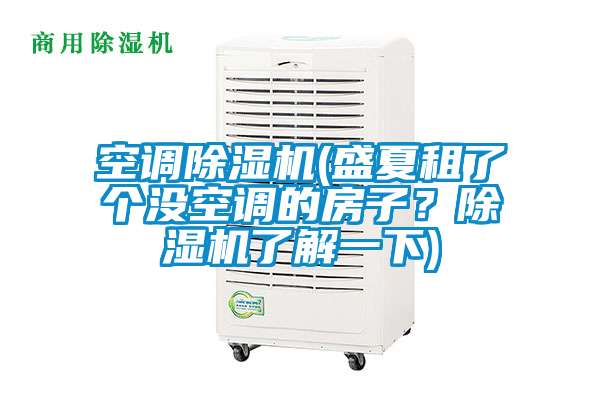 空調除濕機(盛夏租了個沒空調的房子？除濕機了解一下)