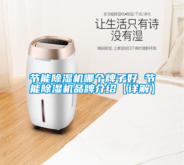 節能除濕機哪個牌子好 節能除濕機品牌介紹【詳解】