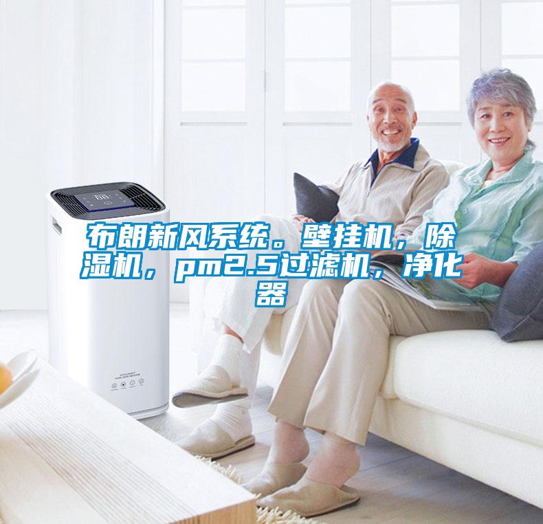 布朗新風系統。壁掛機，除濕機，pm2.5過濾機，凈化器