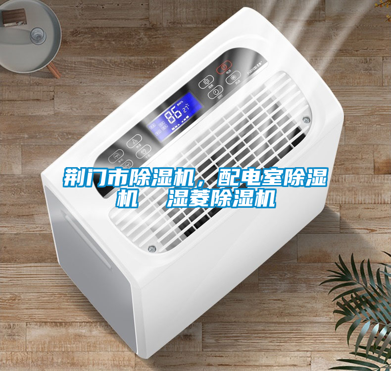 荊門市除濕機(jī)，配電室除濕機(jī)  濕菱除濕機(jī)