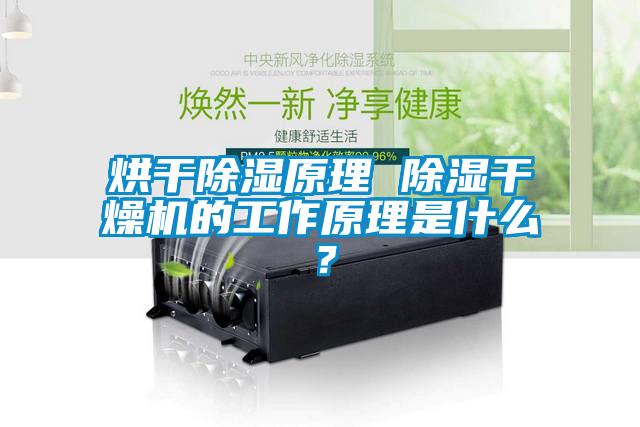 烘干除濕原理 除濕干燥機的工作原理是什么？