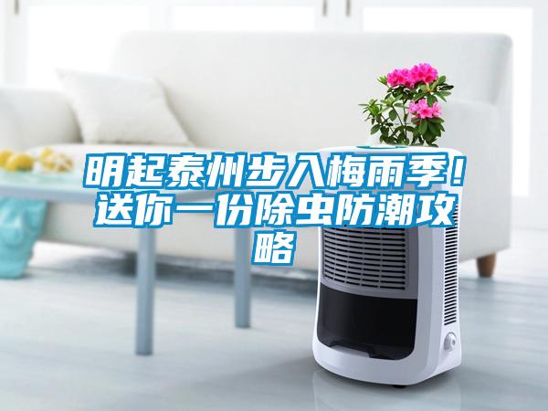明起泰州步入梅雨季！送你一份除蟲防潮攻略