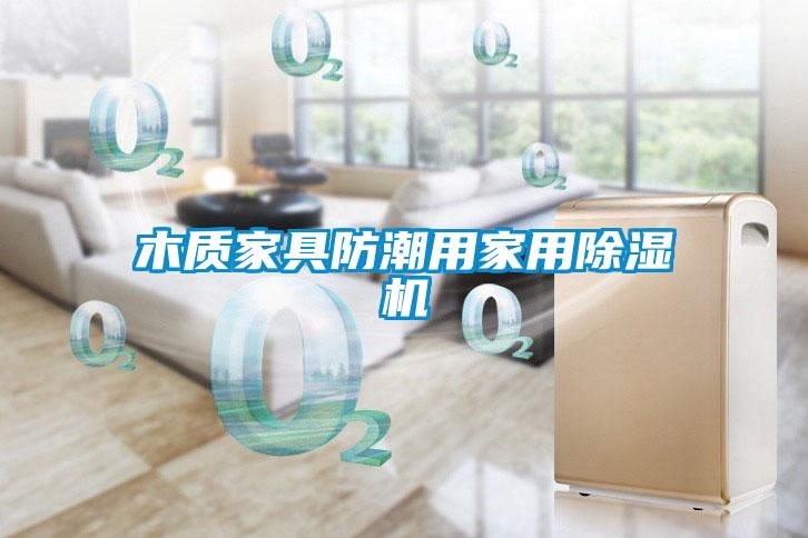 木質家具防潮用家用除濕機