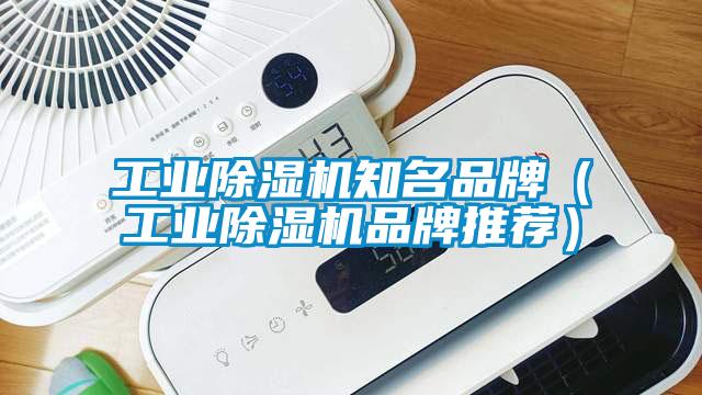 工業除濕機知名品牌（工業除濕機品牌推薦）