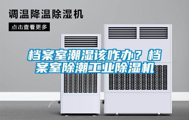 檔案室潮濕該咋辦？檔案室除潮工業除濕機