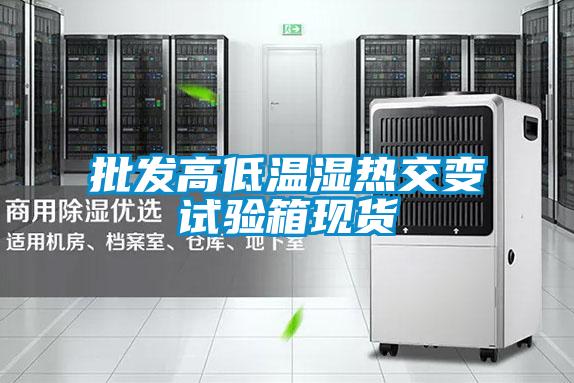 批發高低溫濕熱交變試驗箱現貨