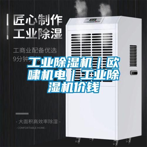 工業除濕機｜歐嘯機電｜工業除濕機價錢