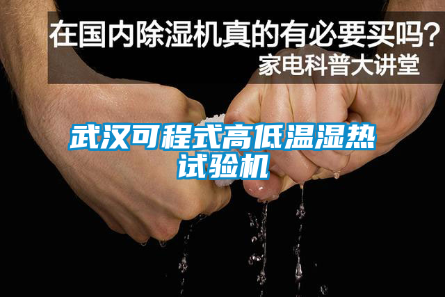 武漢可程式高低溫濕熱試驗機