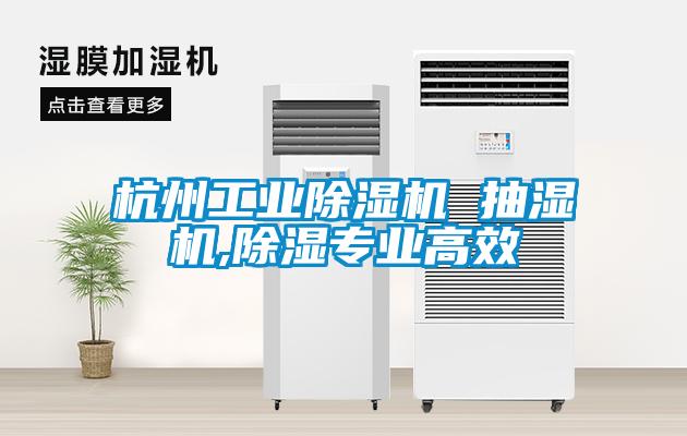 杭州工業除濕機 抽濕機,除濕專業高效