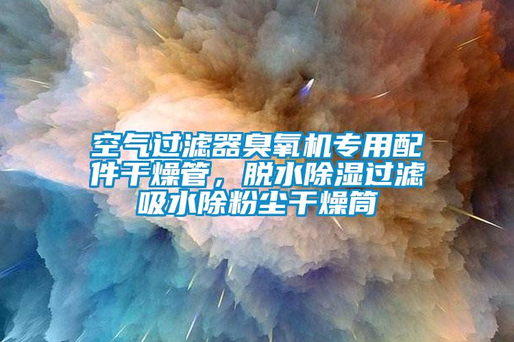 空氣過濾器臭氧機專用配件干燥管，脫水除濕過濾吸水除粉塵干燥筒