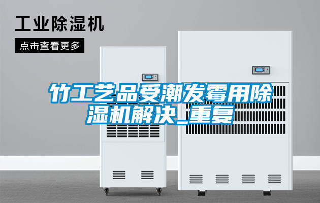 竹工藝品受潮發霉用除濕機解決_重復