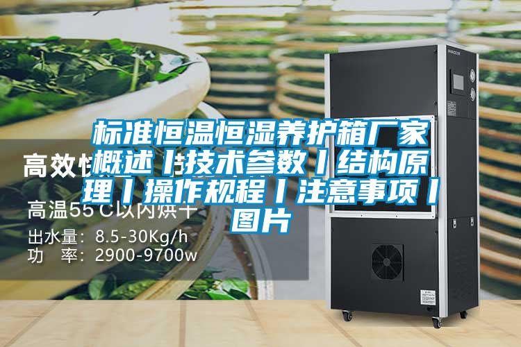 標準恒溫恒濕養護箱廠家概述丨技術參數丨結構原理丨操作規程丨注意事項丨圖片