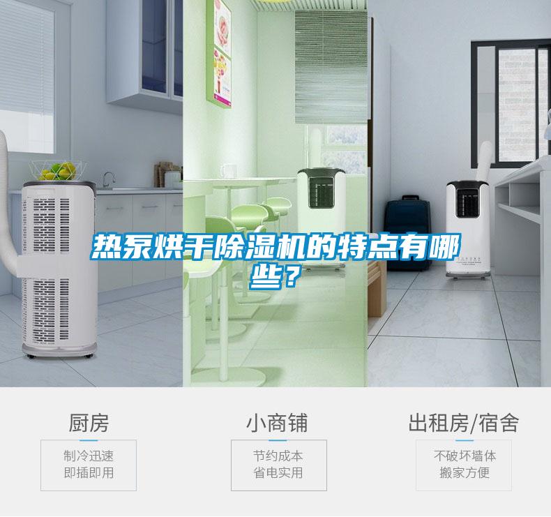 熱泵烘干除濕機(jī)的特點(diǎn)有哪些？