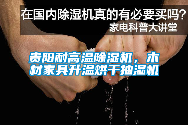 貴陽耐高溫除濕機(jī)，木材家具升溫烘干抽濕機(jī)