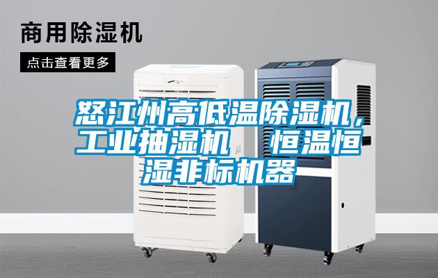 怒江州高低溫除濕機，工業抽濕機  恒溫恒濕非標機器