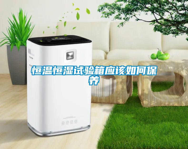 恒溫恒濕試驗箱應該如何保養