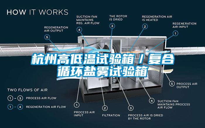 杭州高低溫試驗箱／復合循環鹽霧試驗箱
