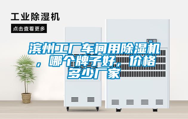 濱州工廠車間用除濕機(jī)，哪個(gè)牌子好，價(jià)格多少?gòu)S家