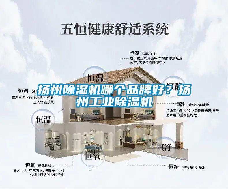 揚州除濕機哪個品牌好？揚州工業除濕機