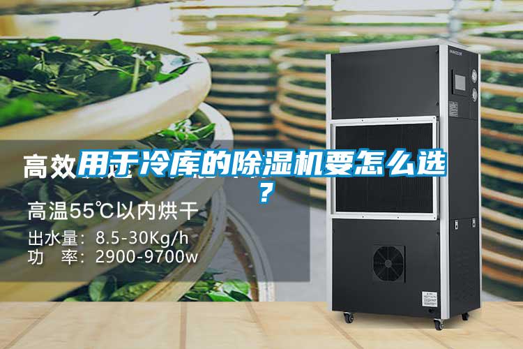 用于冷庫的除濕機要怎么選？
