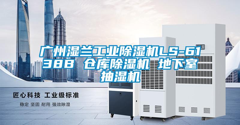 廣州濕蘭工業(yè)除濕機(jī)LS-6138B 倉庫除濕機(jī) 地下室抽濕機(jī)