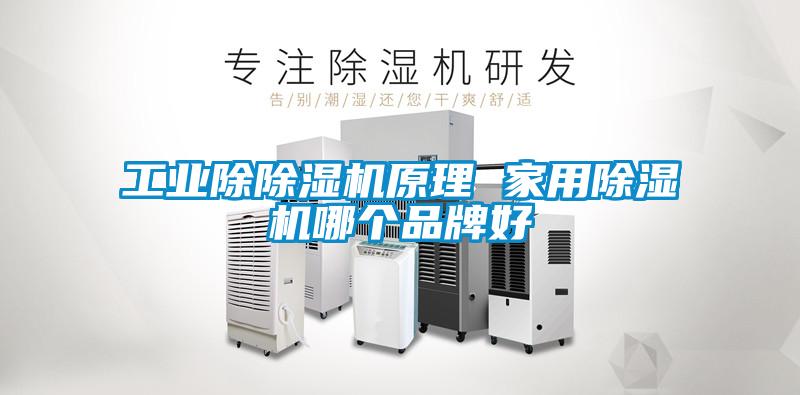 工業除除濕機原理 家用除濕機哪個品牌好