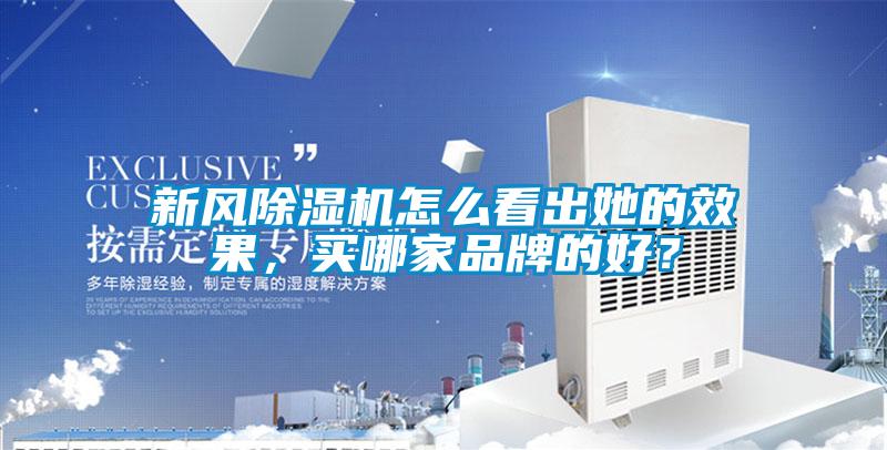 新風除濕機怎么看出她的效果，買哪家品牌的好？