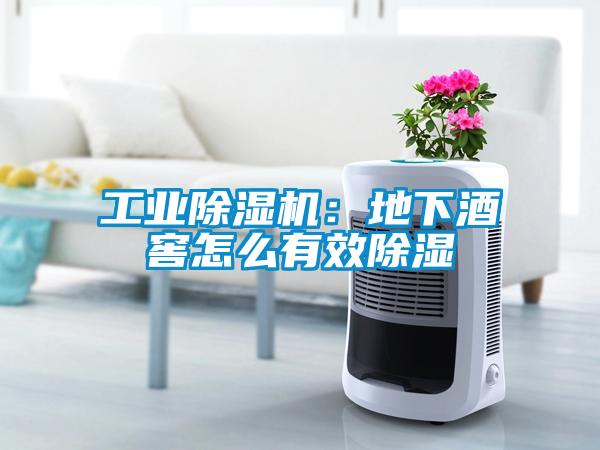 工業除濕機：地下酒窖怎么有效除濕
