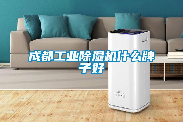 成都工業除濕機什么牌子好