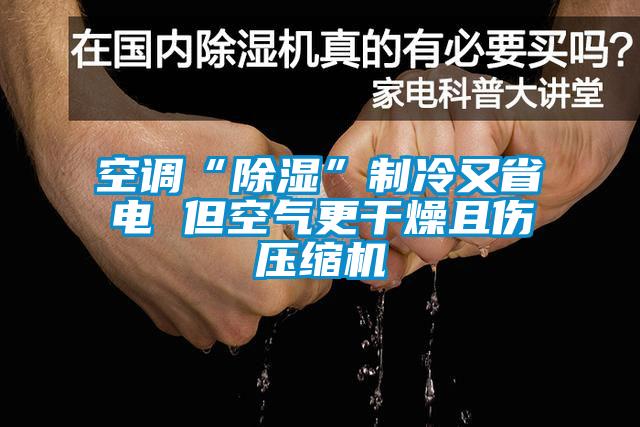 空調(diào)“除濕”制冷又省電 但空氣更干燥且傷壓縮機(jī)