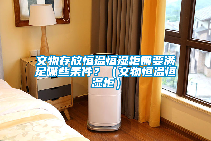 文物存放恒溫恒濕柜需要滿足哪些條件？（文物恒溫恒濕柜）