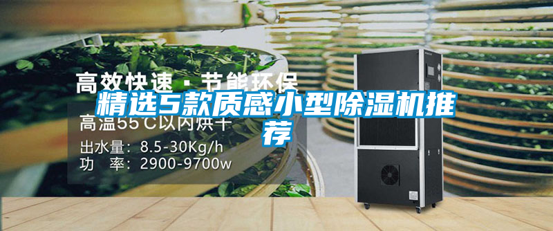 精選5款質感小型除濕機推薦