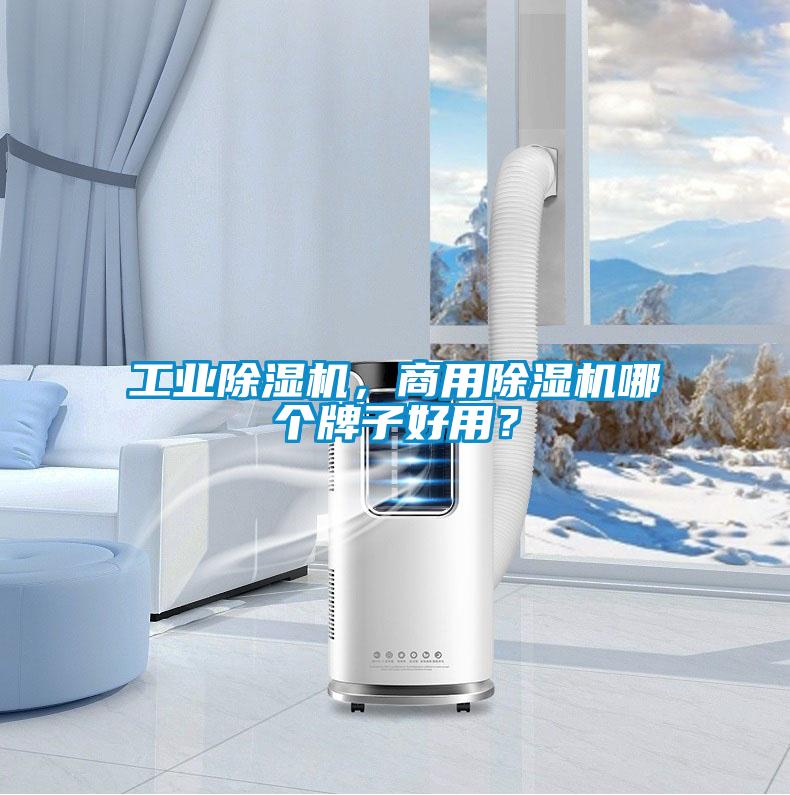 工業(yè)除濕機(jī)，商用除濕機(jī)哪個(gè)牌子好用？