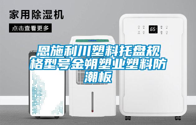 恩施利川塑料托盤規(guī)格型號(hào)金朔塑業(yè)塑料防潮板